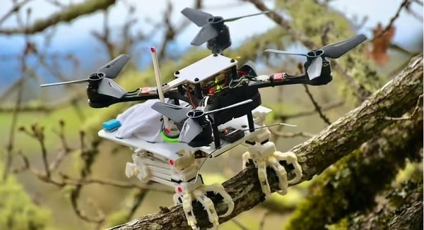 Drones can now perch on surfaces like birds