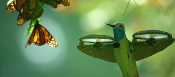 Hummingbird Drone with Butterflies
