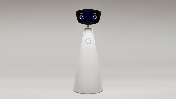 AI Robot Brings Joy To Children